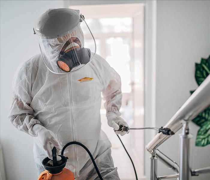 SERVPRO employee in PPE spraying
